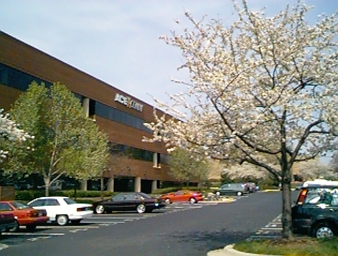 Original image