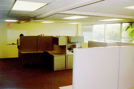 Original image