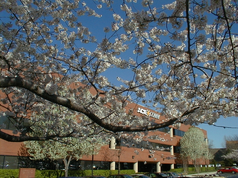 Original image