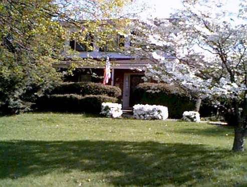 Original image