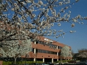 0324069a